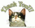 Comments, Graphics - Thank you 